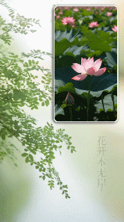 06.gif 06.gif