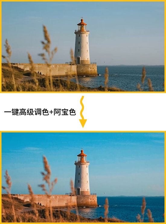 06.jpg