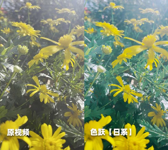 10.jpg 10.jpg