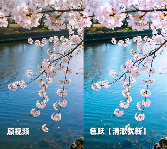 13.jpg 13.jpg